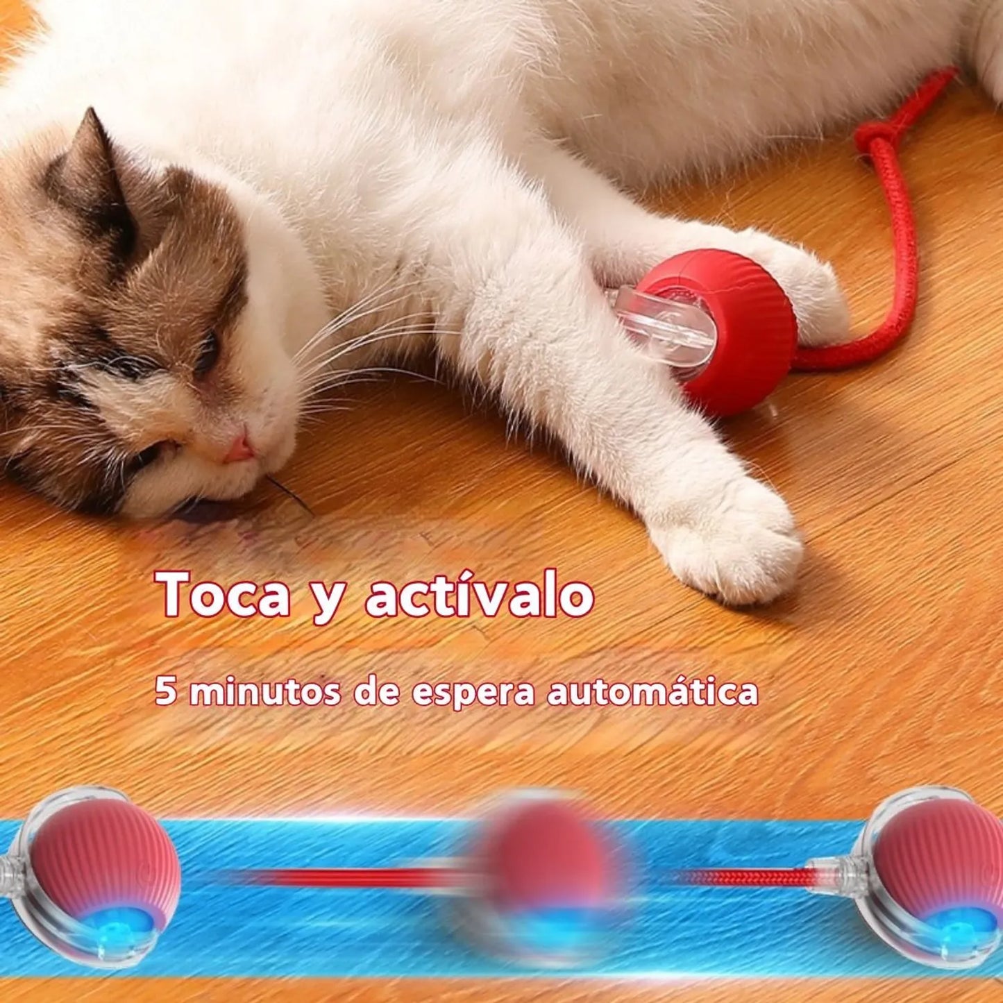 Pelota Interactiva Para Gatos Con Soga